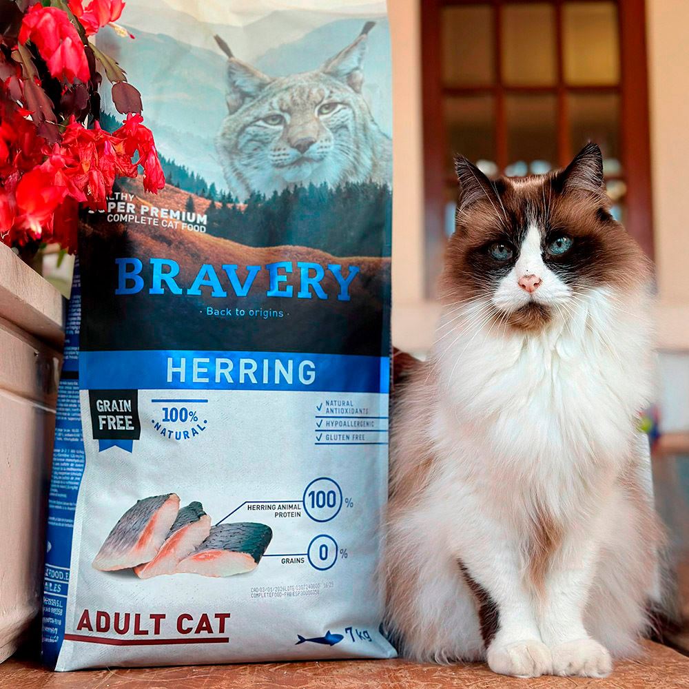 BRAVERY HERRING (ARENQUE) ADULT CAT (GRAIN FREE)