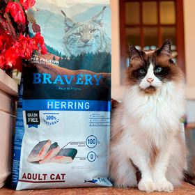 BRAVERY HERRING (ARENQUE) ADULT CAT (GRAIN FREE)