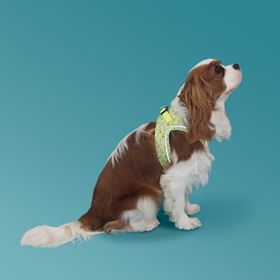 PEITORAL RESPIRÁVEL "ABACATE"