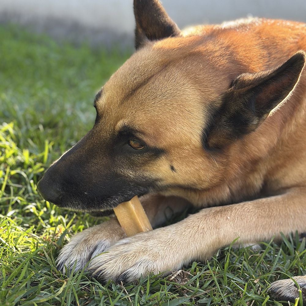 MY DOG CHEWZ - OSSO DE QUEIJO NATURAL