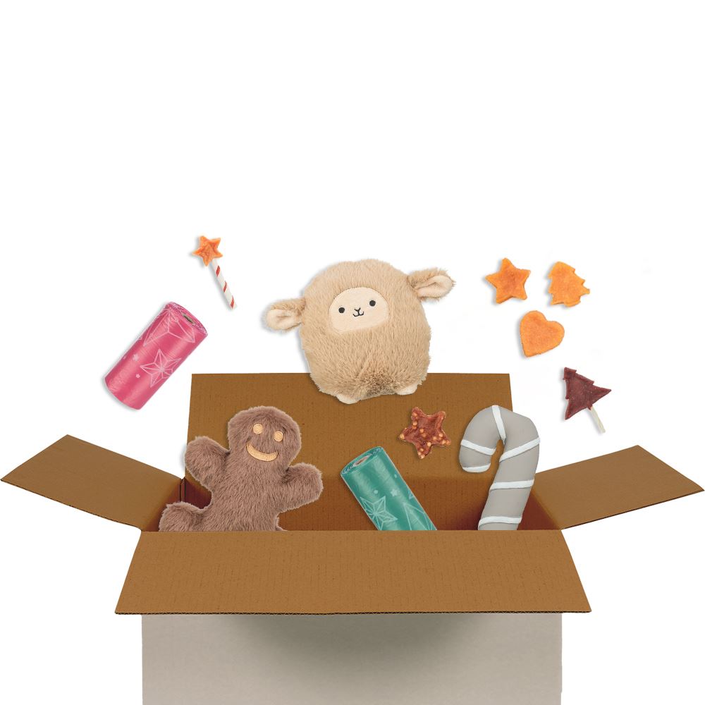 SURPRISE BOX "XMAS" (Porte Pequeno/Médio)