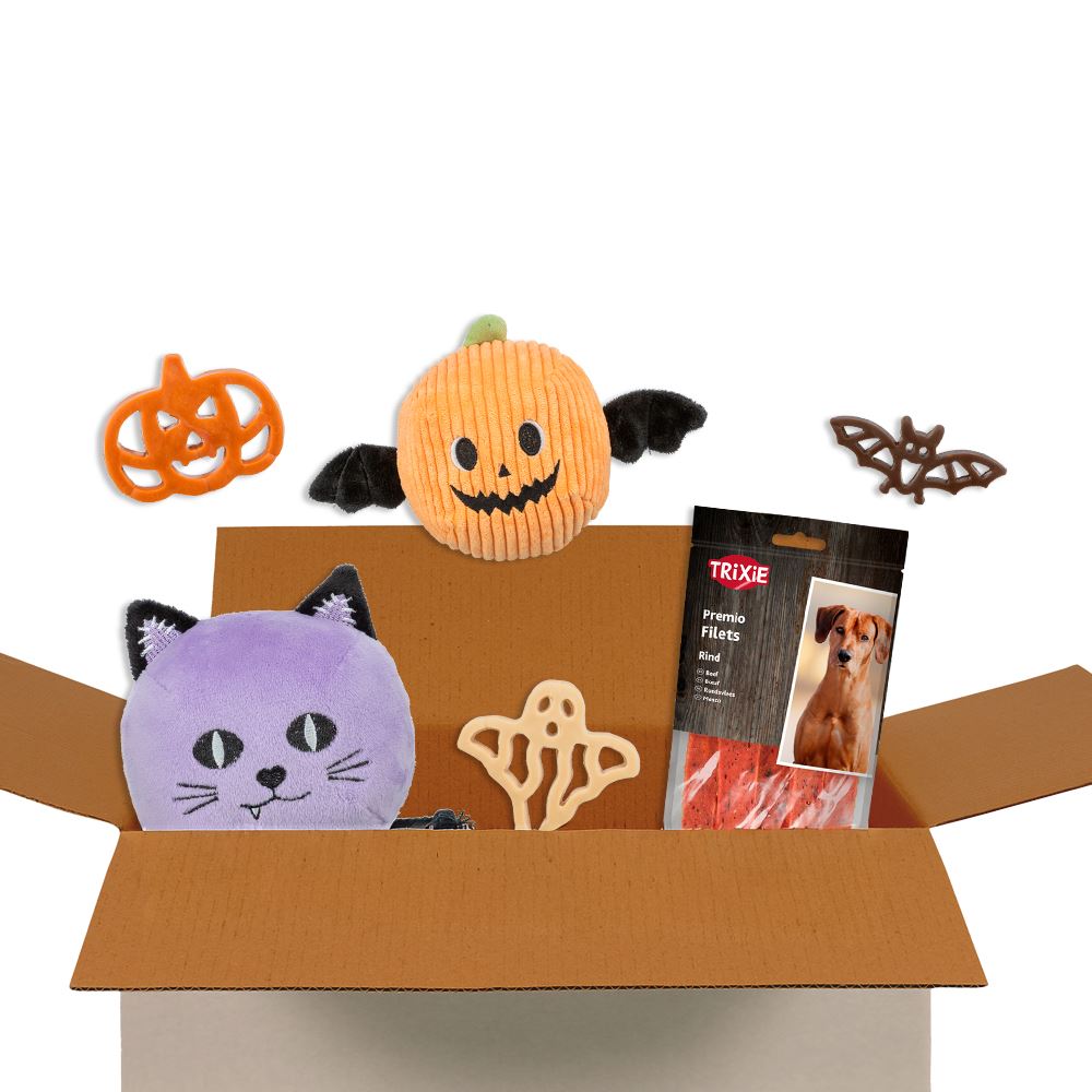 SURPRISE BOX "HALLOWEEN" (Porte Pequeno/Médio)