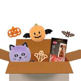 SURPRISE BOX "HALLOWEEN" (Porte Pequeno/Médio)
