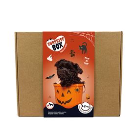 SURPRISE BOX "HALLOWEEN" (Porte Pequeno/Médio)