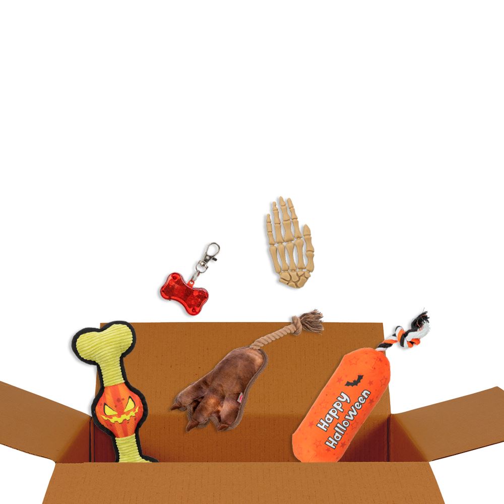 SURPRISE BOX "HALLOWEEN" (Porte Grande)