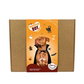 SURPRISE BOX "HALLOWEEN" (Porte Grande)