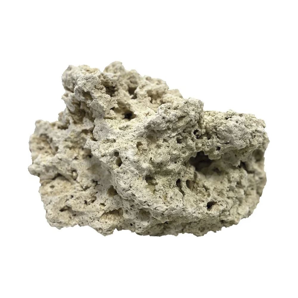 BLUE MARINE - ROCHA RECIFE