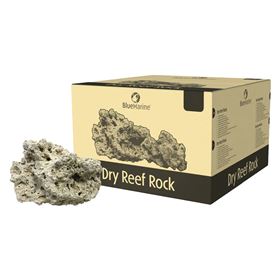 BLUE MARINE - ROCHA RECIFE