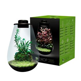 BIOART DROP - NANO TERRÁRIO