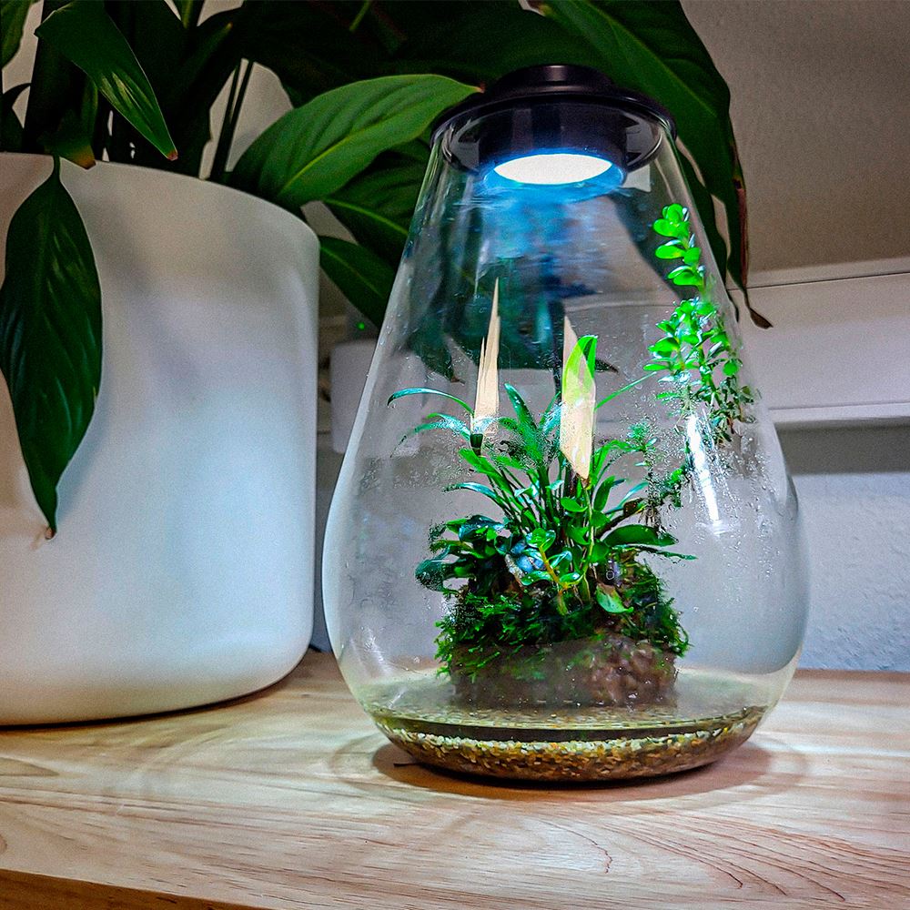 BIOART DROP - NANO TERRÁRIO