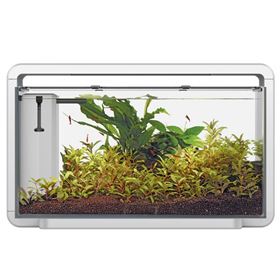 "AQUÁRIO DESIGN "HOME 30"