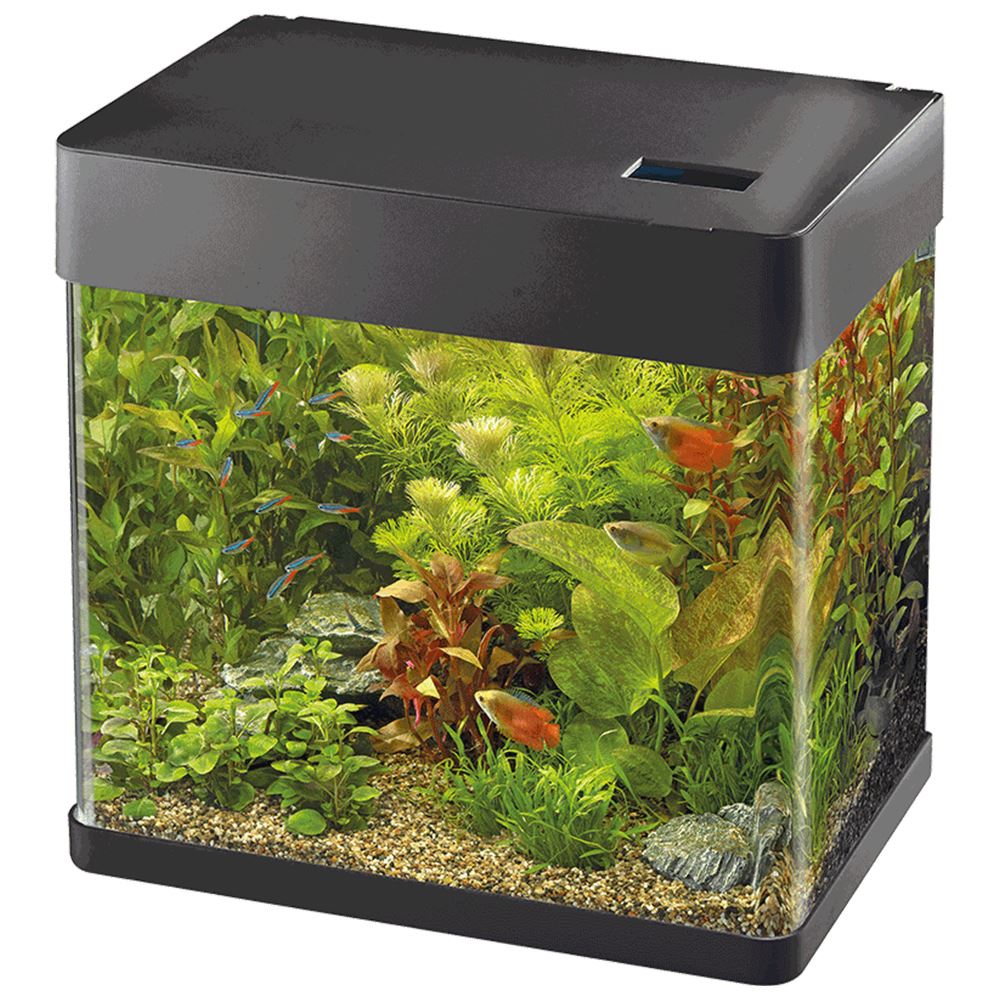 AQUÁRIO SUPERFISH PANORAMA