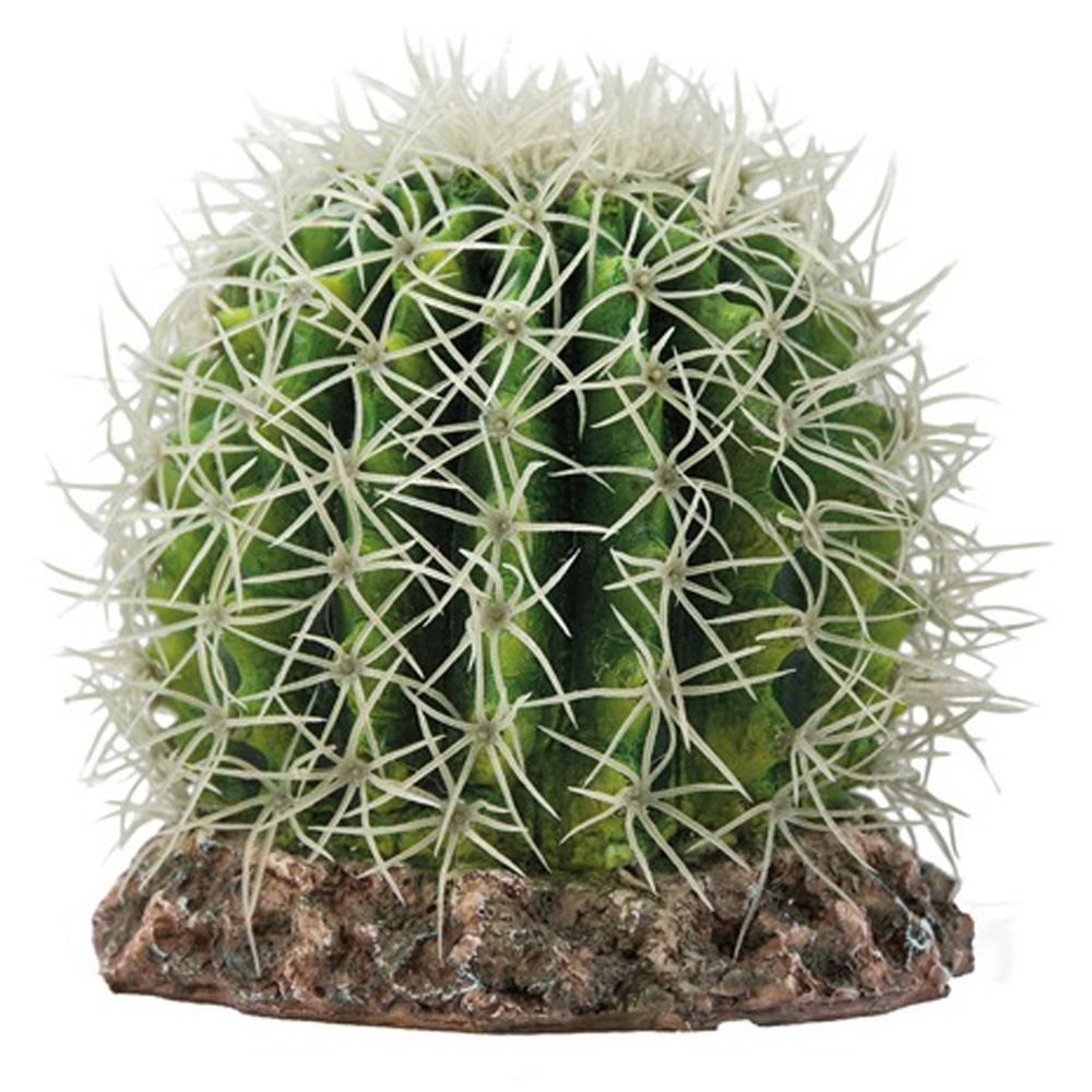 DECORAÇÃO PARA TERRÁRIO "CACTUS SONORA"