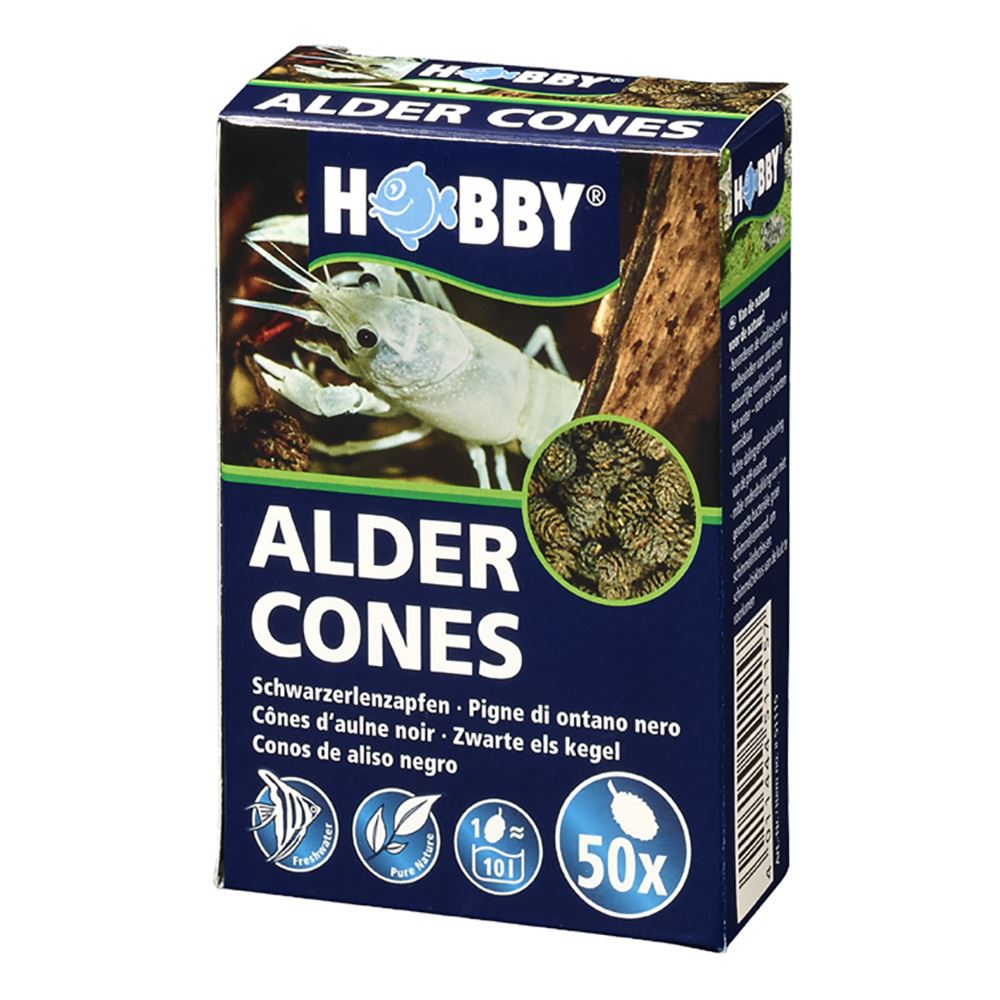 ALDER CONES (50 UNIDADES)