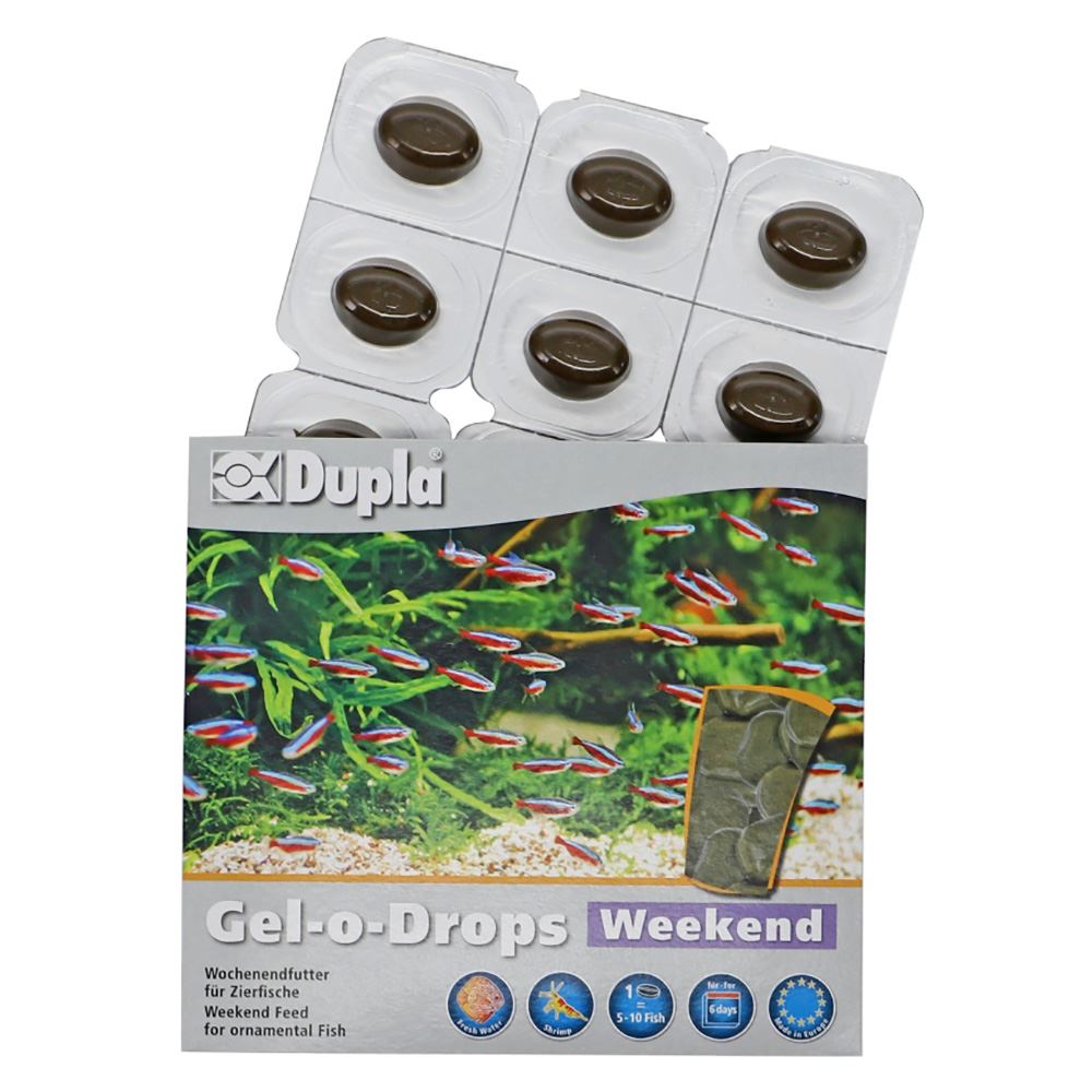 DUPLA - GEL-O-DROPS PARA FIM DE SEMANA