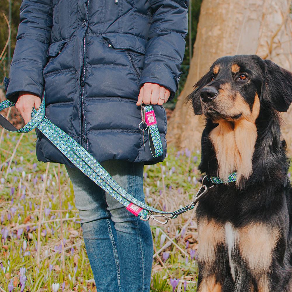 MAX & MOLLY - COLEIRA COM ID TAG "RETRO BLUE"