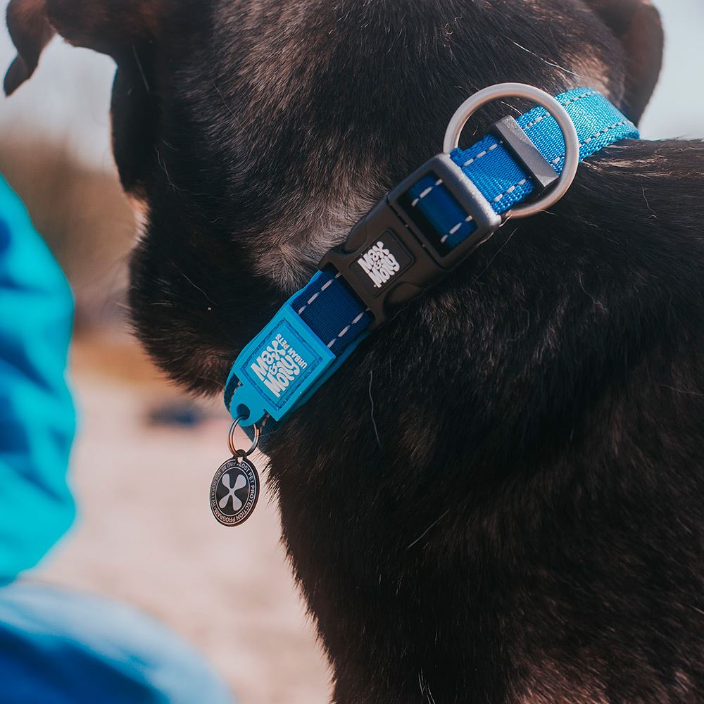 MAX & MOLLY - COLEIRA COM ID TAG "MATRIX SKY BLUE"