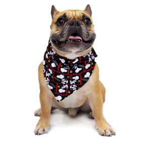 SNOOPY - BANDANA (PRETO/FRAMES)