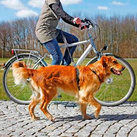 TRELA PARA JOGGING E BICICLETA