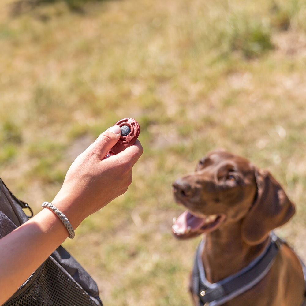 CLICKER "SPORTING" (PARA TREINO DE CÃES)