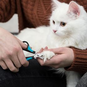 TESOURA CORTA UNHAS PARA CÃES E GATOS