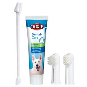 CONJUNTO DE HIGIENE DENTÁRIA PARA CÃES