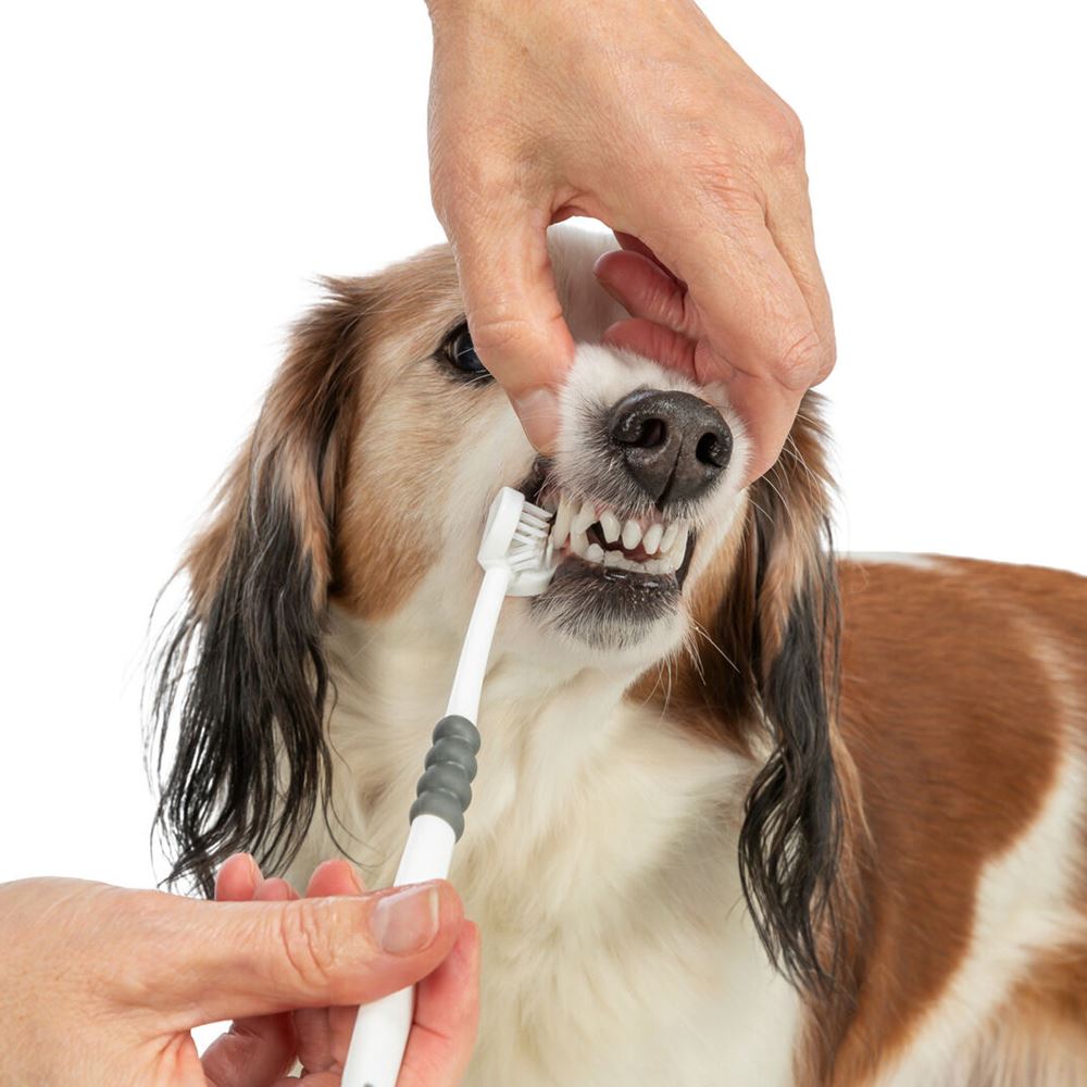 ESCOVA DE CABEÇA TRIPLA PARA HIGIENE DENTÁRIA DE CÃES E GATOS