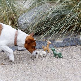 DENTAFUN - VEGGIE SAFARI (100 UNIDADES)
