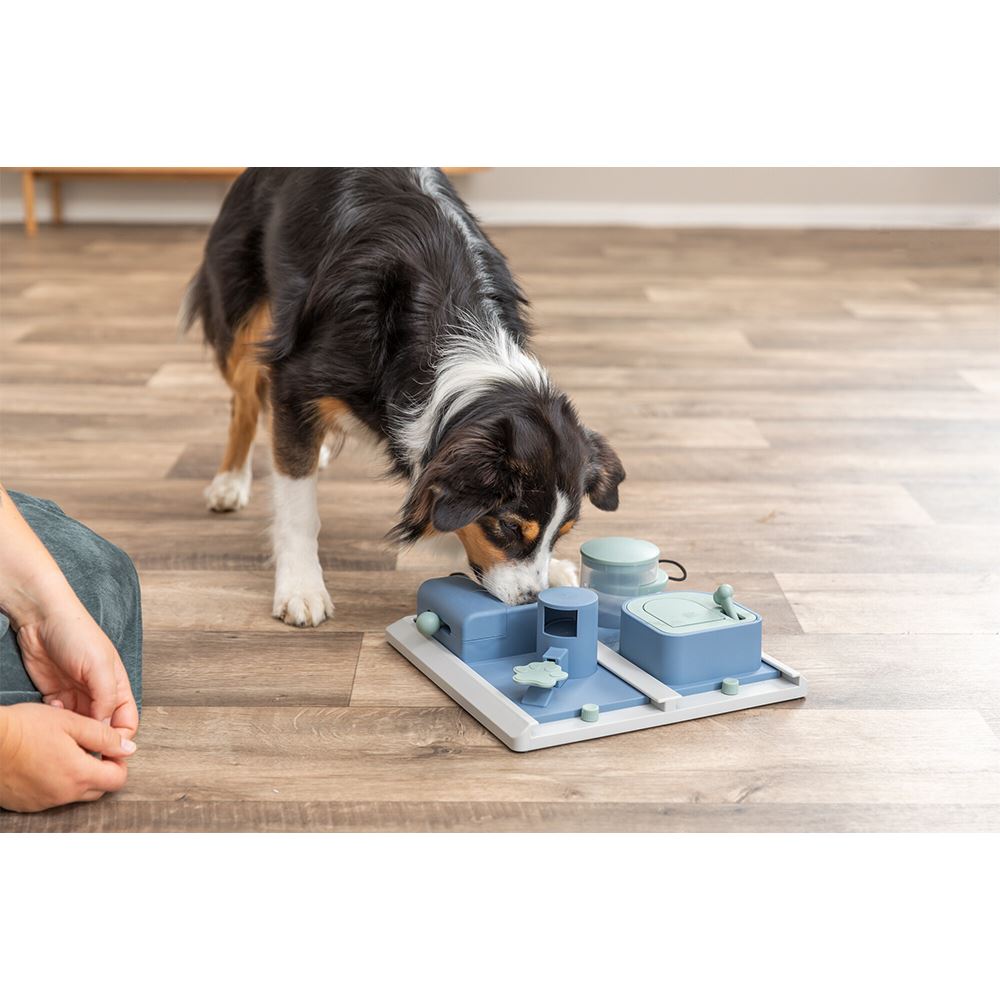 JOGO "POKER BOX 2" PARA CÃES