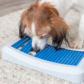 JOGO "ROD BOARD" PARA CÃES