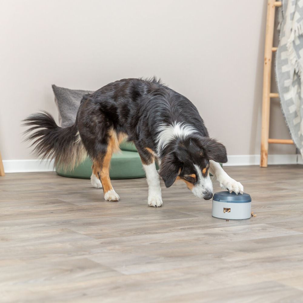 JOGO "BUZZER" PARA CÃES