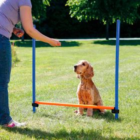 BARREIRA PARA AGILITY