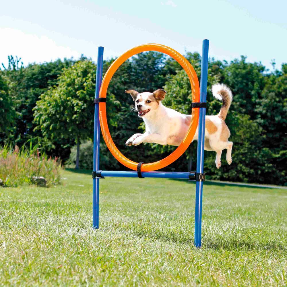 ANEL DE SALTO PARA AGILITY