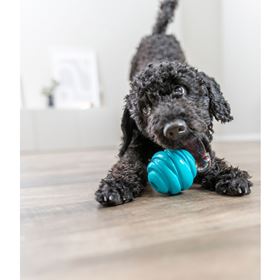 BOLA "SUPER STRONG" EM TPR