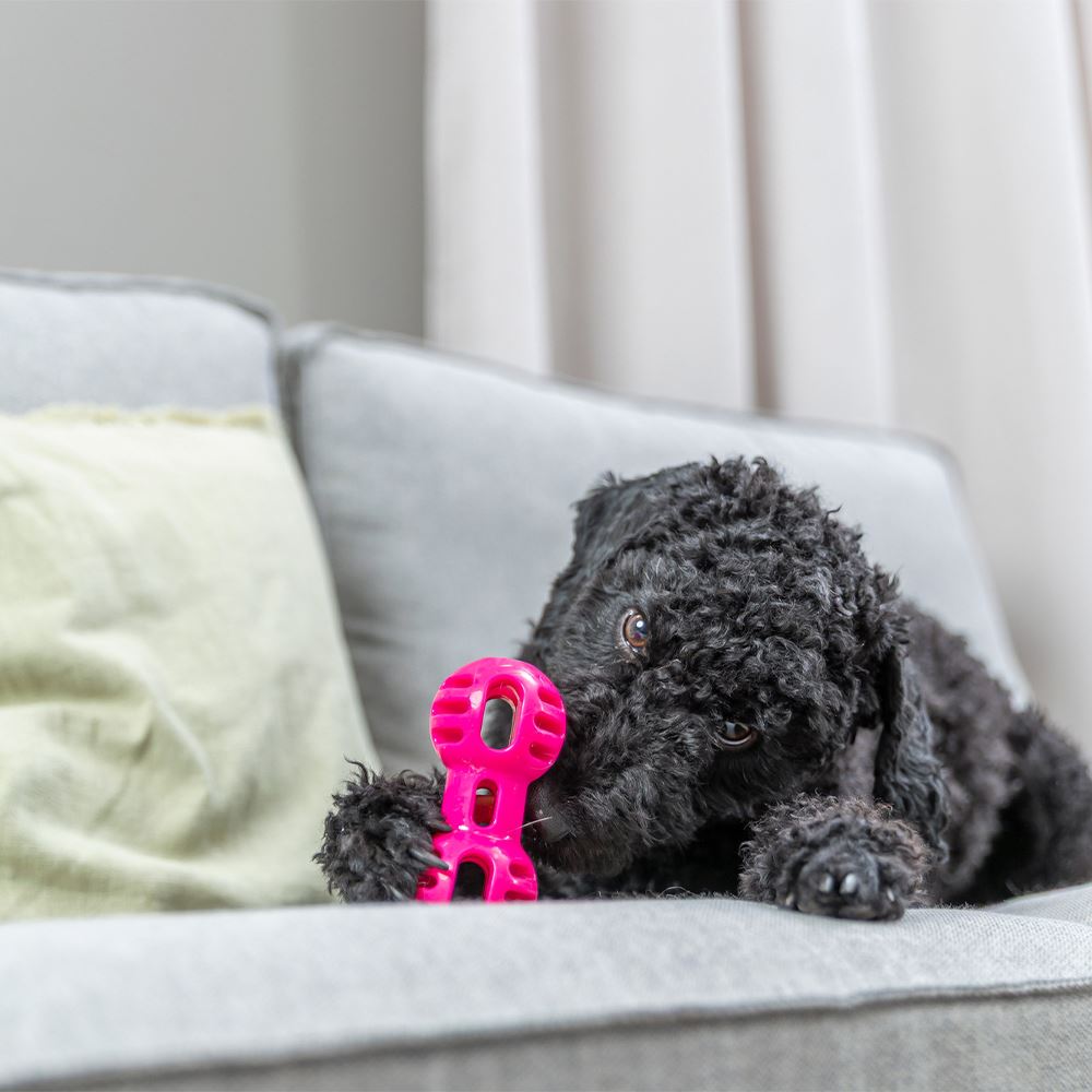 APPORT "SOFT & STRONG" EM TPR