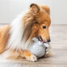 BOLA PARA SNACKS "POLVO" EM BORRACHA TPR