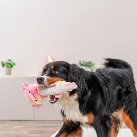 AXOLOTE EM PELÚCIA