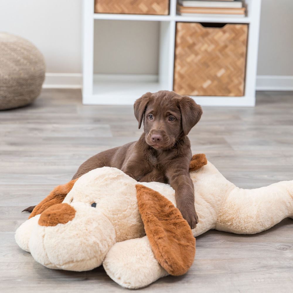 CÃO MASCOTE XXL EM PELÚCIA