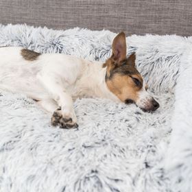 CAMA PROTETORA DE SOFÁ "HARVEY"