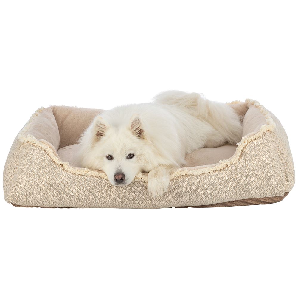 CAMA "BOHO"