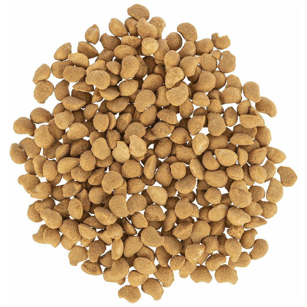 NUGGETS COM PEITO DE FRANGO E SALMÃO