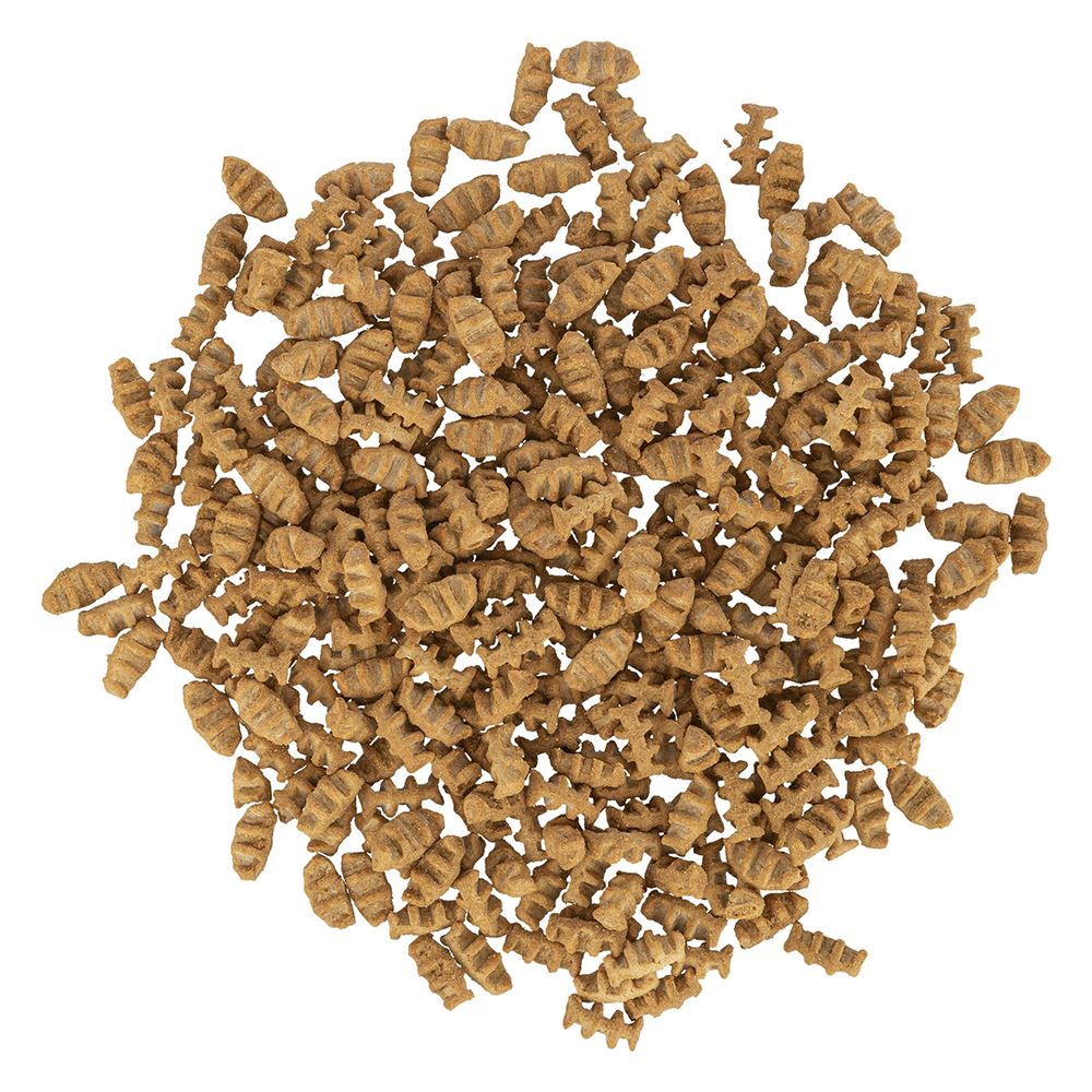 FISH BONES COM PEITO DE FRANGO E SALMÃO