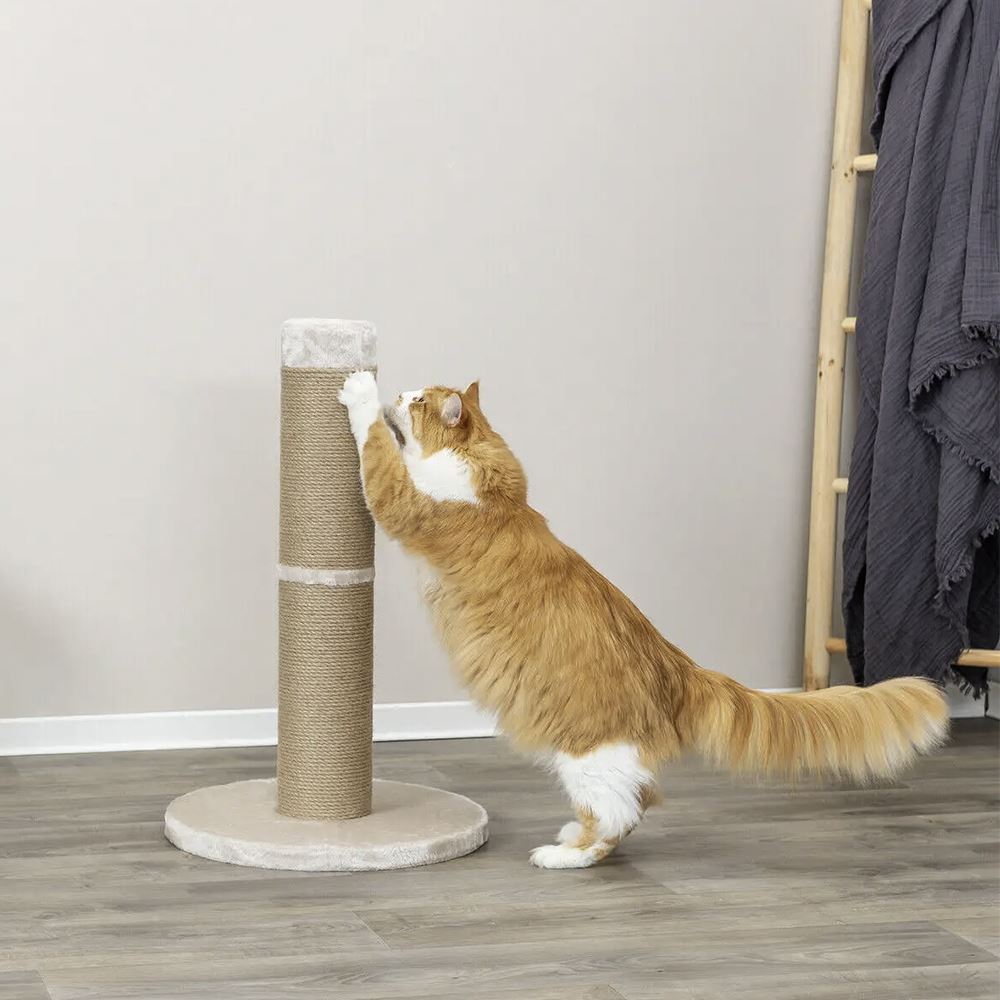 POSTE DE ARRANHAR "RUE XXL"