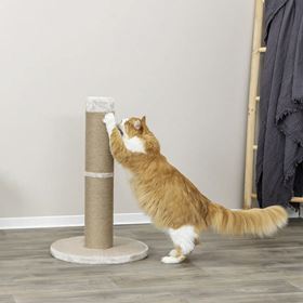 POSTE DE ARRANHAR "RUE XXL"