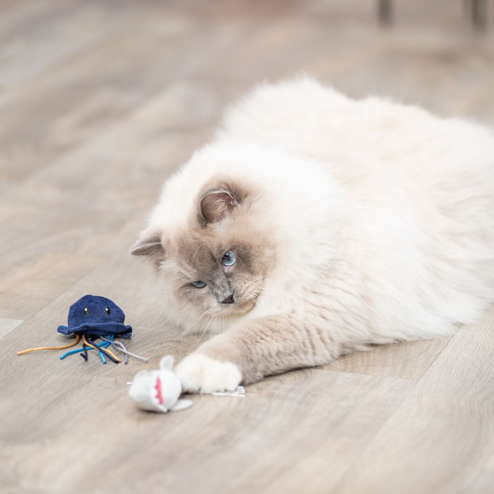 ANIMAIS MARINHOS EM PELÚCIA COM CATNIP