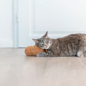 AMENDOIM XXL EM PELÚCIA COM CATNIP DOS EUA