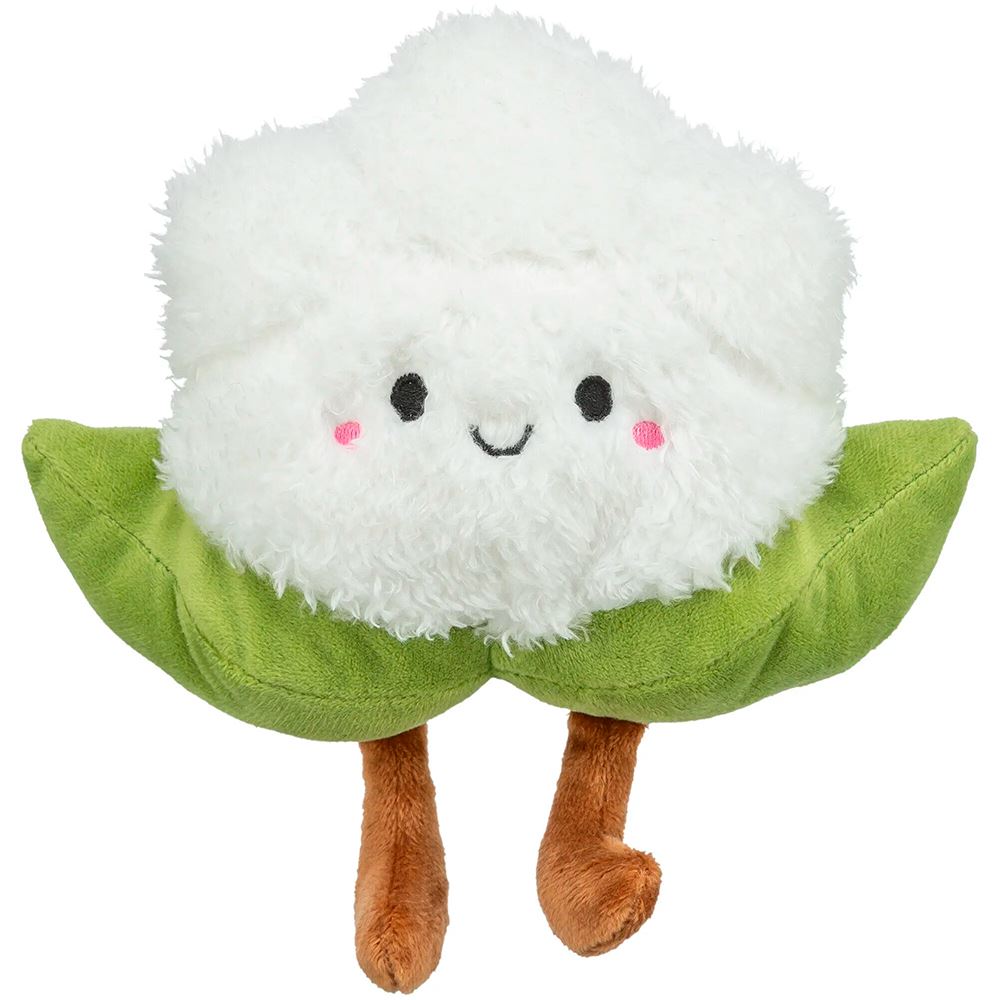 COUVE-FLOR XXL EM PELÚCIA COM CATNIP DOS EUA