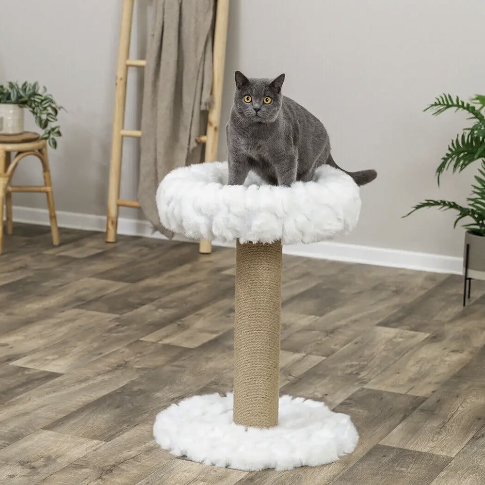 ARRANHADOR "MIRELLA"