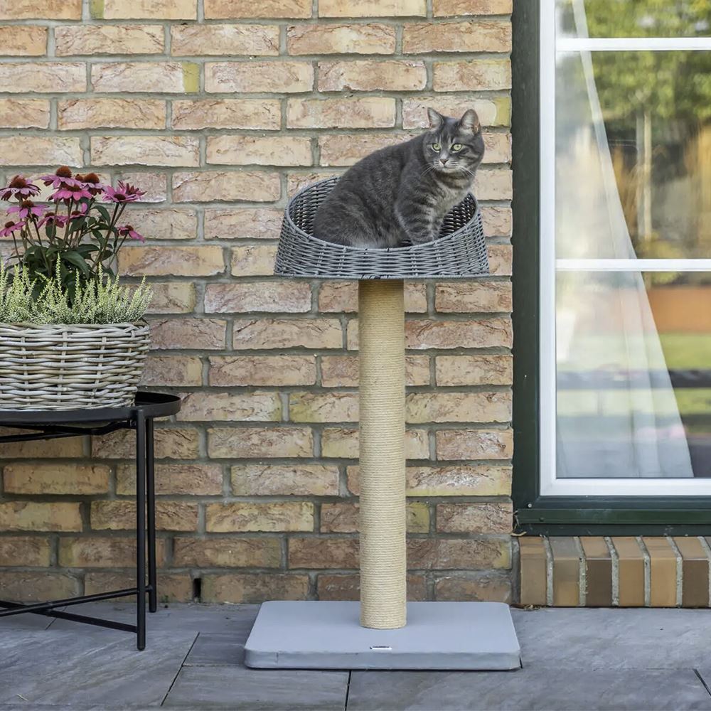 TREPADOR "AMALIA" PARA EXTERIOR