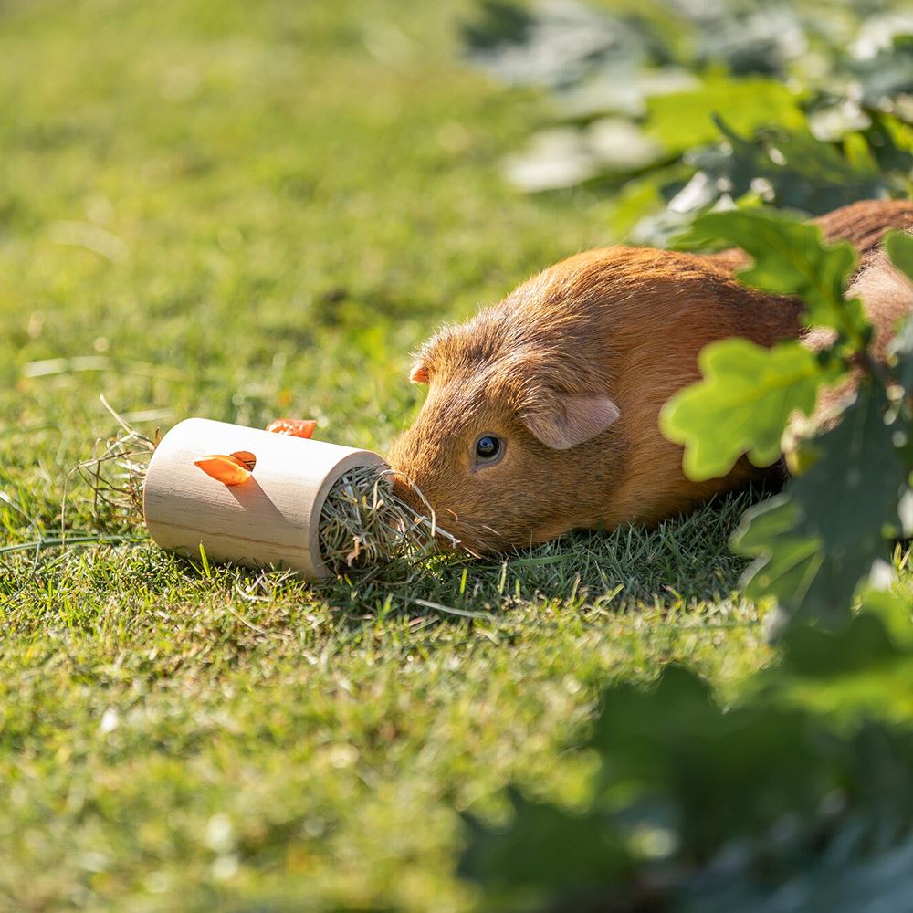 CILINDRO EM MADEIRA PARA SNACKS PARA PORQ. DA ÍNDIA E COELHOS